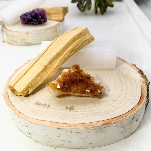 Birch Round Tree Slice - 4” x 1/2” - Picture 4 of 5